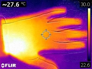 flir_hand